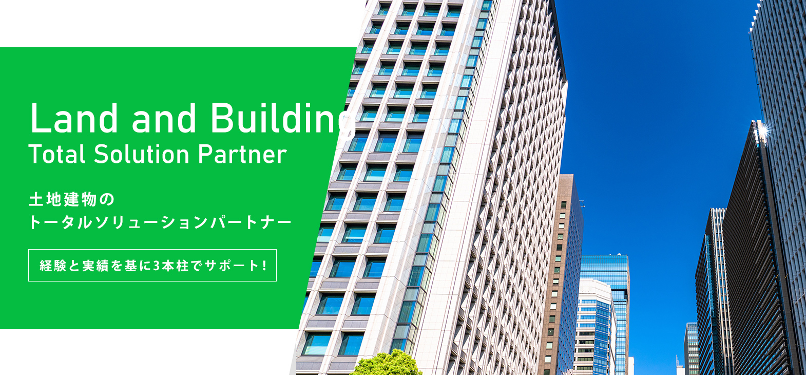 株式会社建匠 東京都葛飾区 足立区の総合不動産サービス 株式会社建匠 東京都葛飾区 足立区の総合不動産サービス